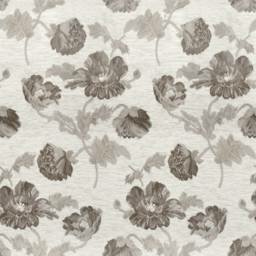 Cacharel Beige