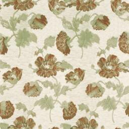 Cacharel Olive