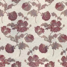 Cacharel Red