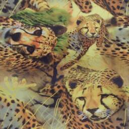 Savana29569-1