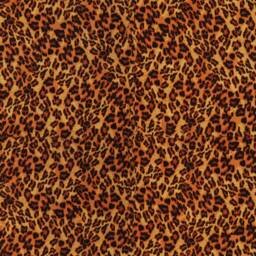 New Leopard Sierra