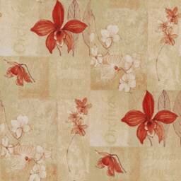 Orhid Beige