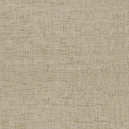 Elegance1009