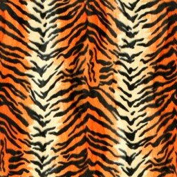 Zoo Tiger