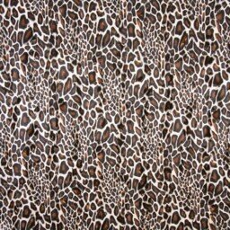 Gepard